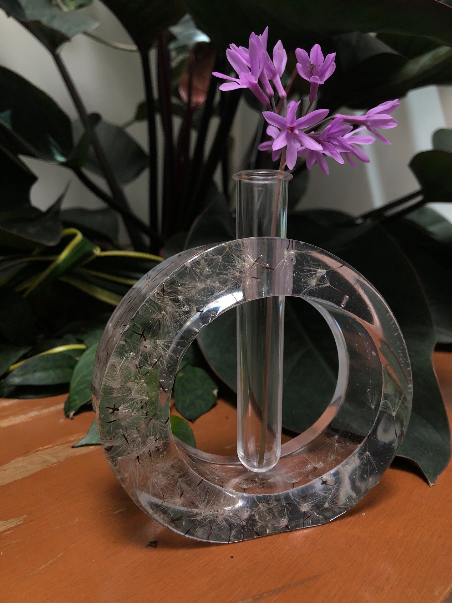 This plant propagation holder has dandelion seeds so that your wish for the plant to stay alive will come true! There is an option to get wild dandelion seeds!