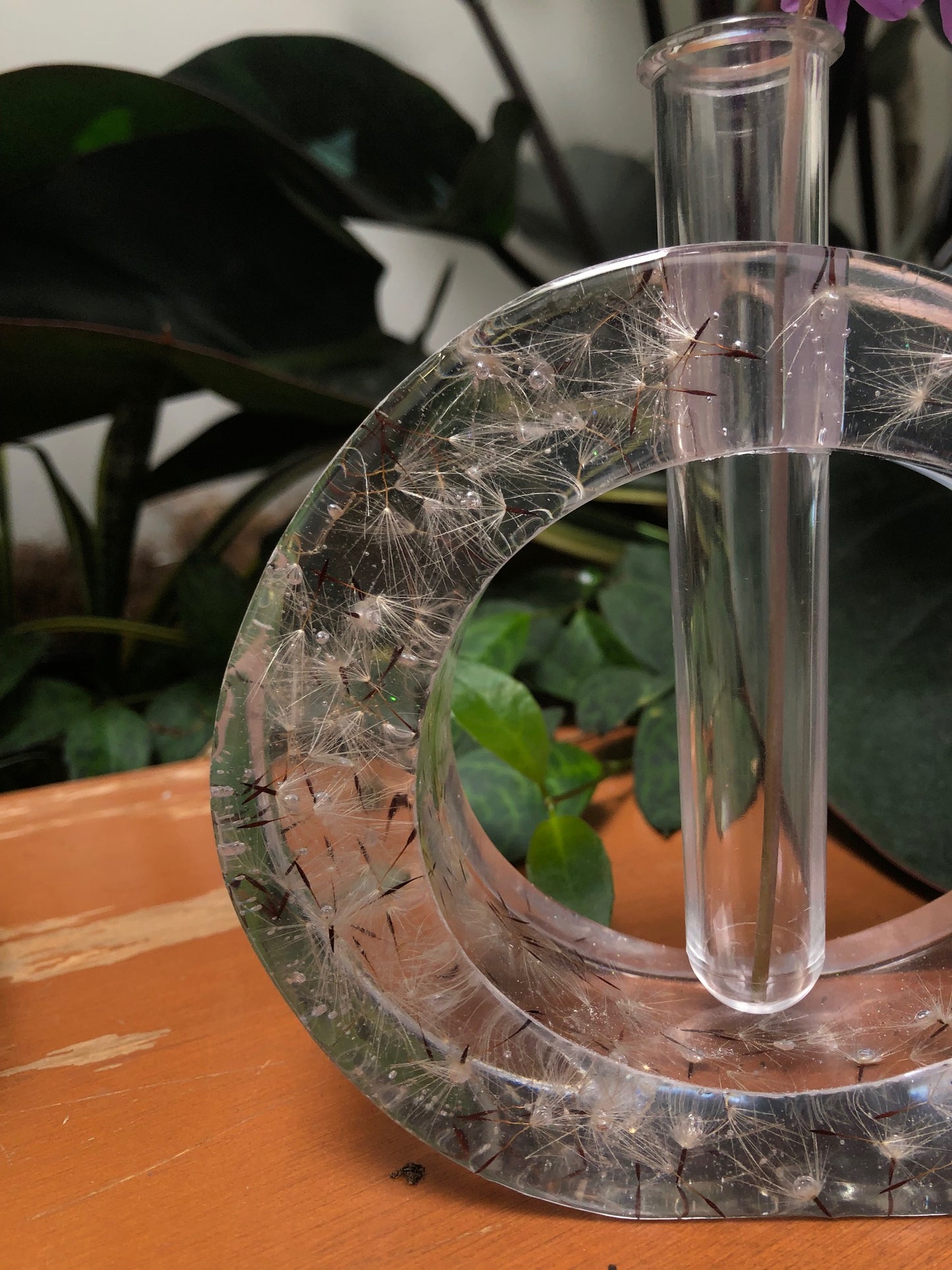 This plant propagation holder has dandelion seeds so that your wish for the plant to stay alive will come true! There is an option to get wild dandelion seeds!