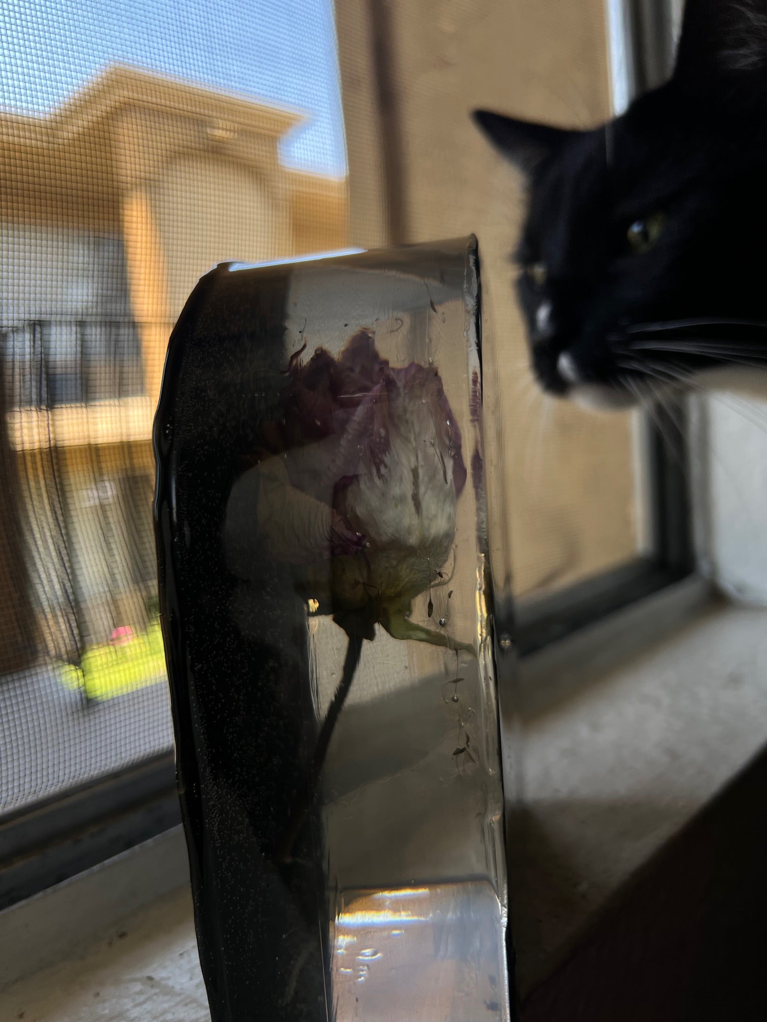 "One Rose, One Wish", One of a kind Rose in Resin, 6x4x2in