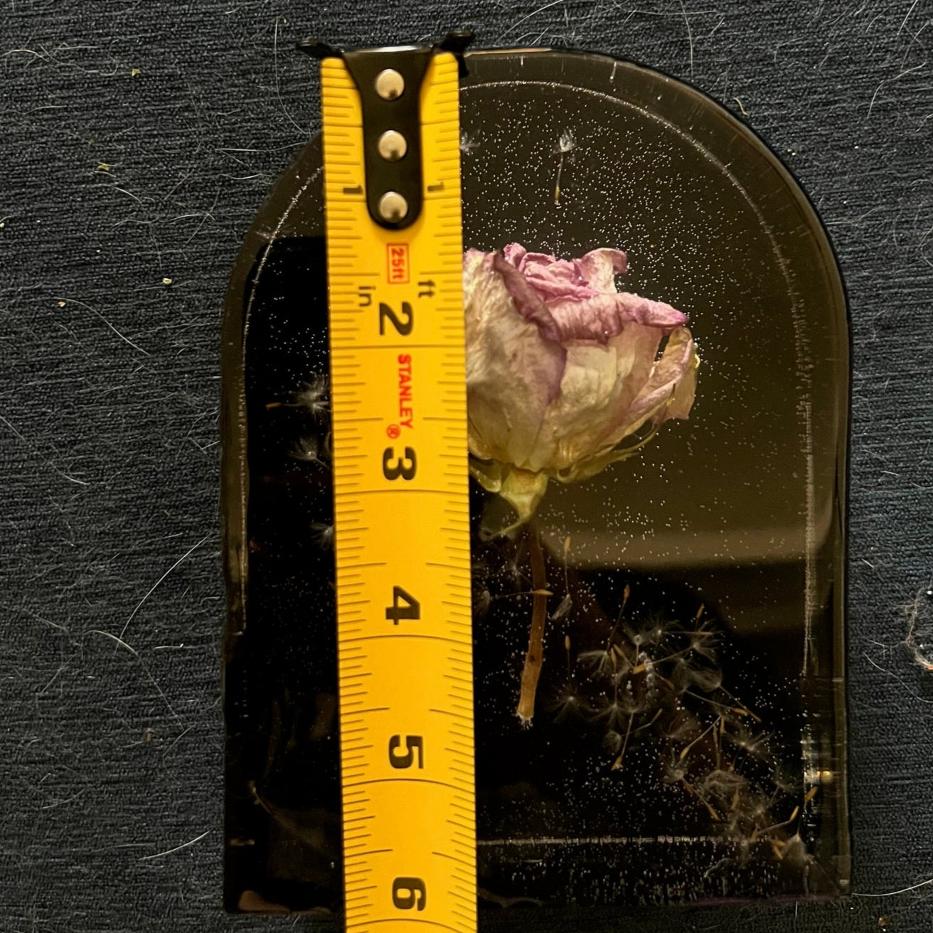 "One Rose, One Wish", One of a kind Rose in Resin, 6x4x2in