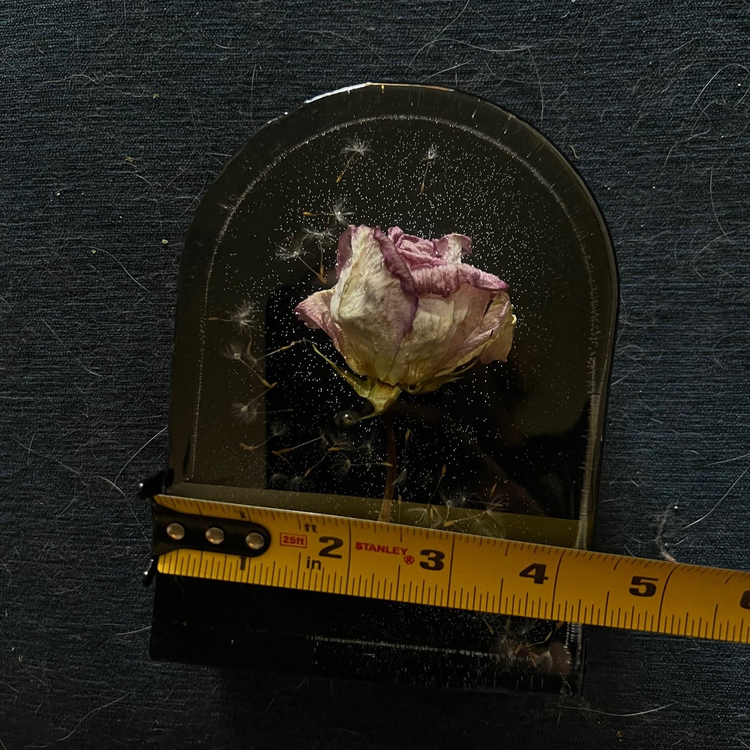 "One Rose, One Wish", One of a kind Rose in Resin, 6x4x2in
