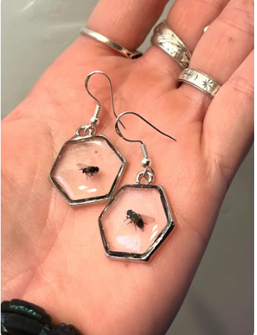 Hexagonal earrings with insect specimens held in a hand.
