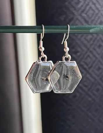 Hexagonal crystal earrings on a dark surface with real flies embedded